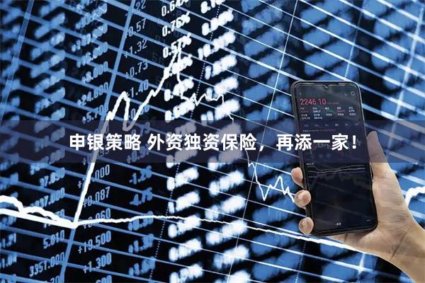 申银策略 外资独资保险，再添一家！