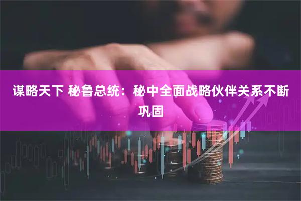谋略天下 秘鲁总统：秘中全面战略伙伴关系不断巩固